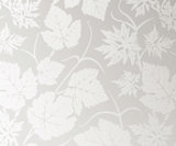 Obscure Glass Oriel Coppice Oriel Coppice