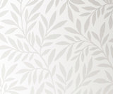 Obscure Glass Oriel Laurel Oriel Laurel